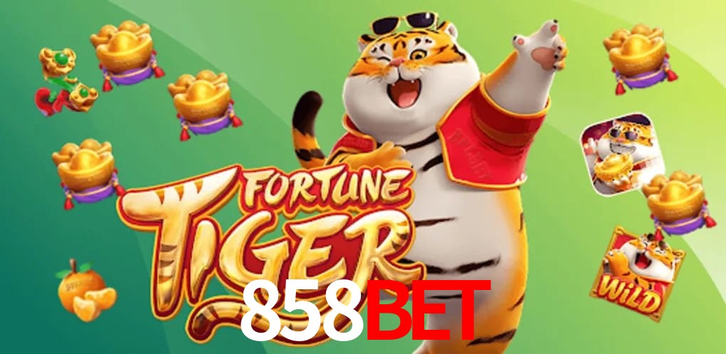 Sports Statistics 858Bet
